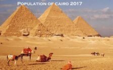 Population of cairo 2017